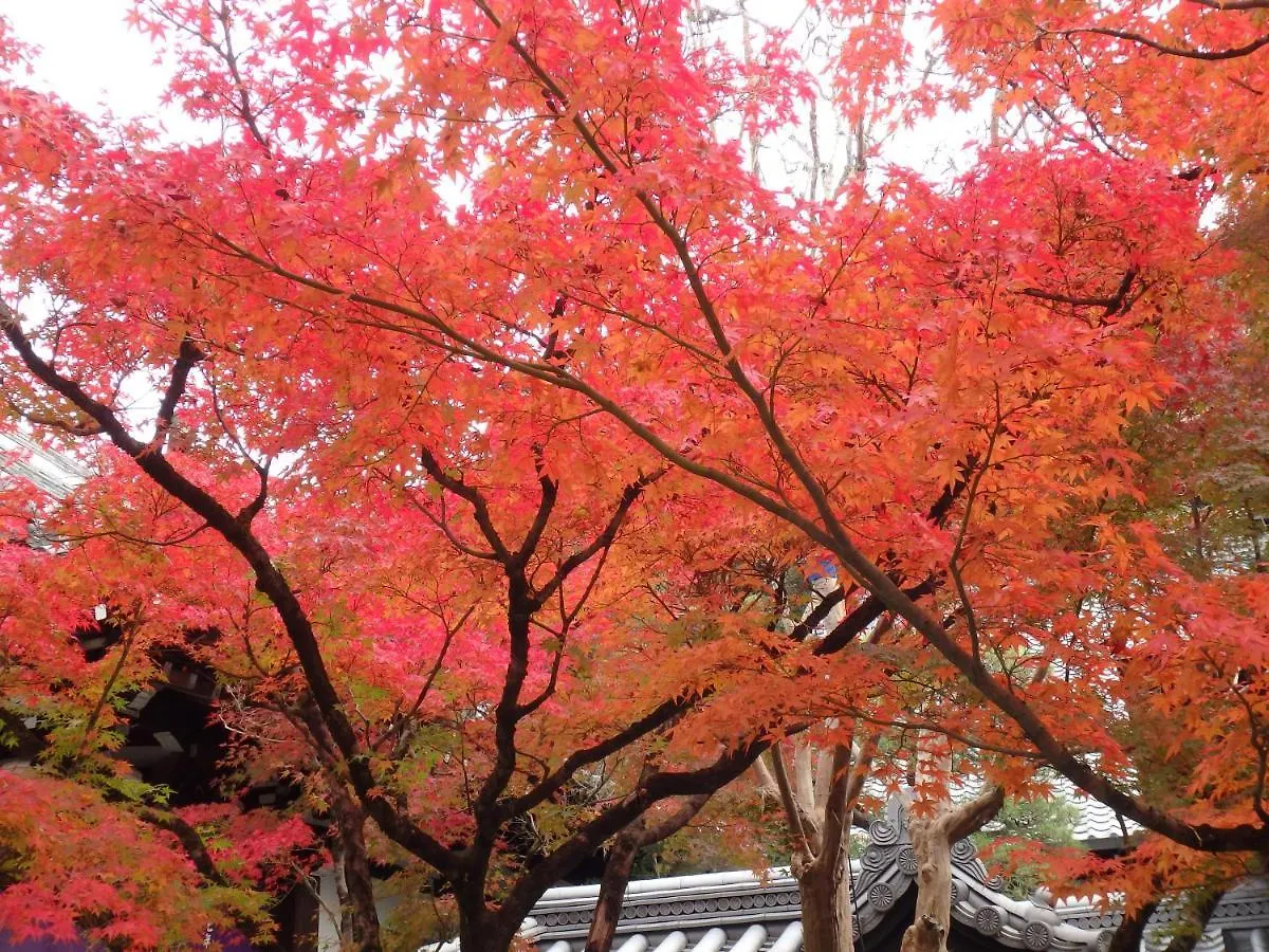 Kyo No Yado Nishioji Inn Kioto
