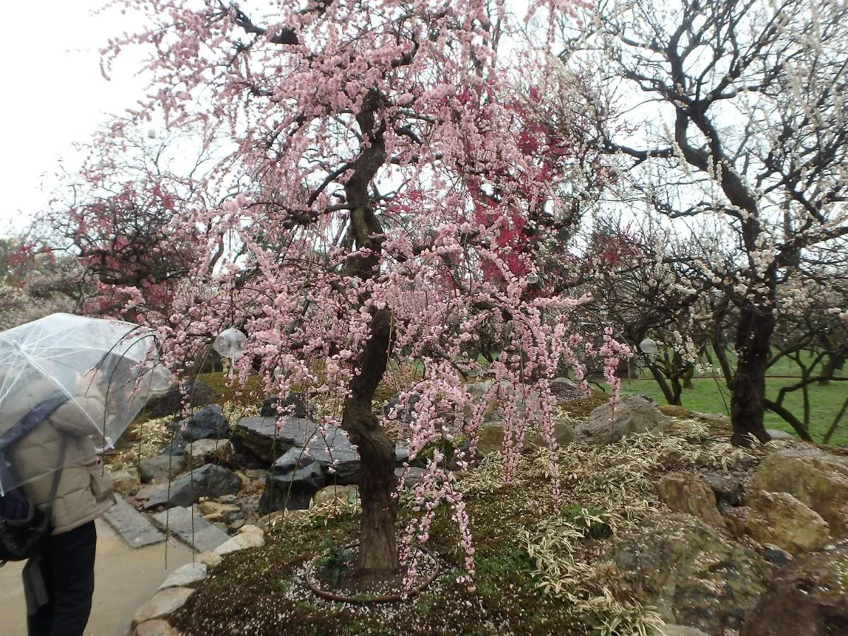 Kyo No Yado Nishioji Inn Kioto 0*,  Japonia
