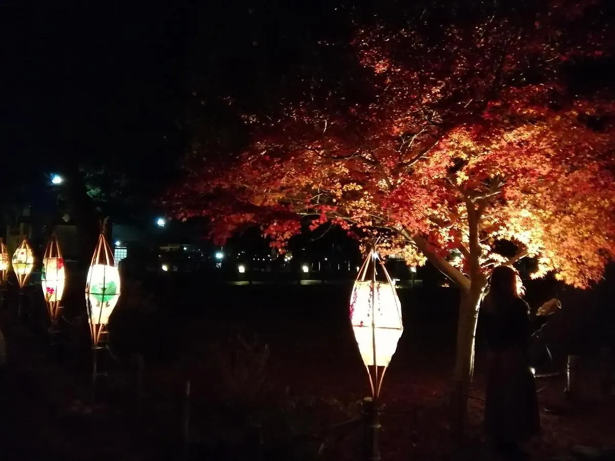 Kyo No Yado Nishioji Inn 京都市 0*,  日本