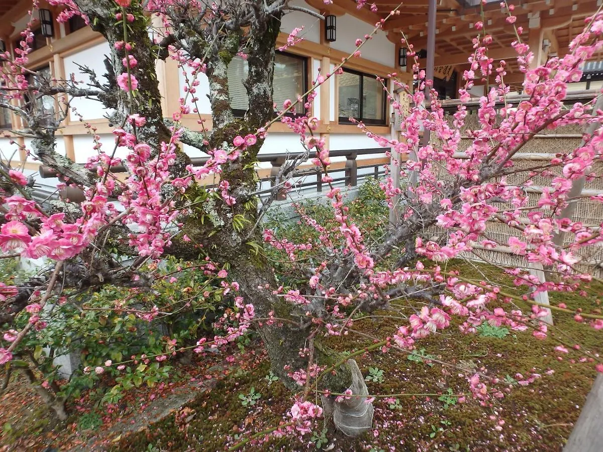 Kyo No Yado Nishioji Inn 京都市 0*,